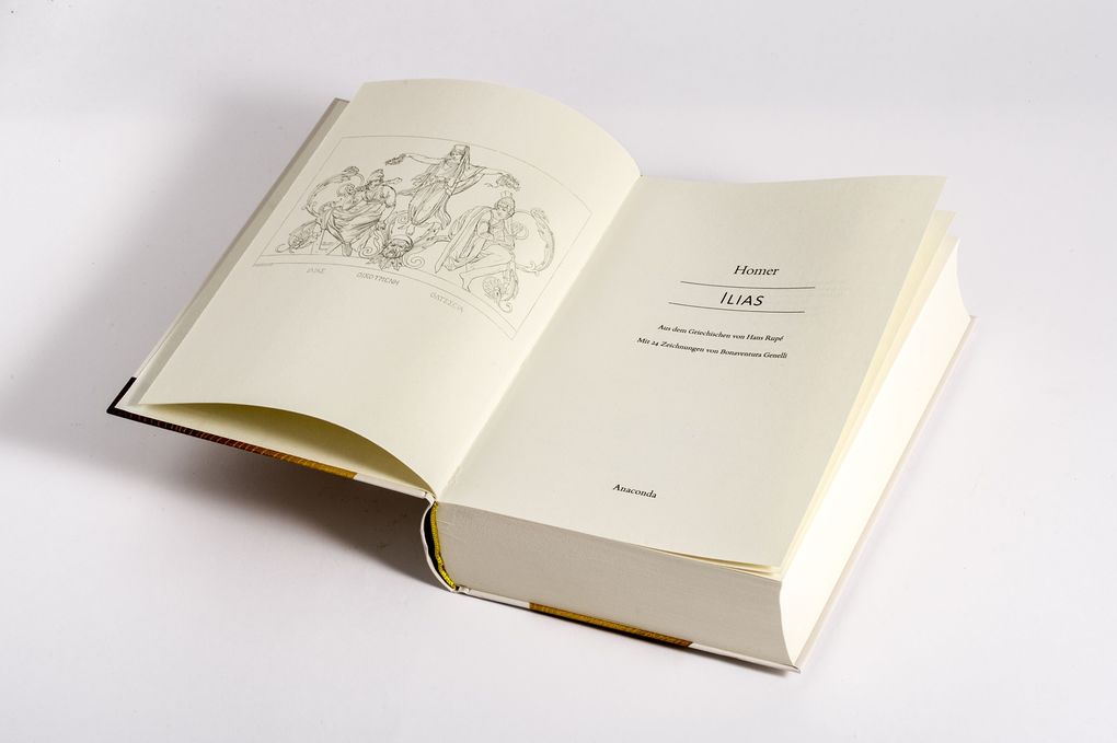 Weitere Ansicht: Ilias | Homer