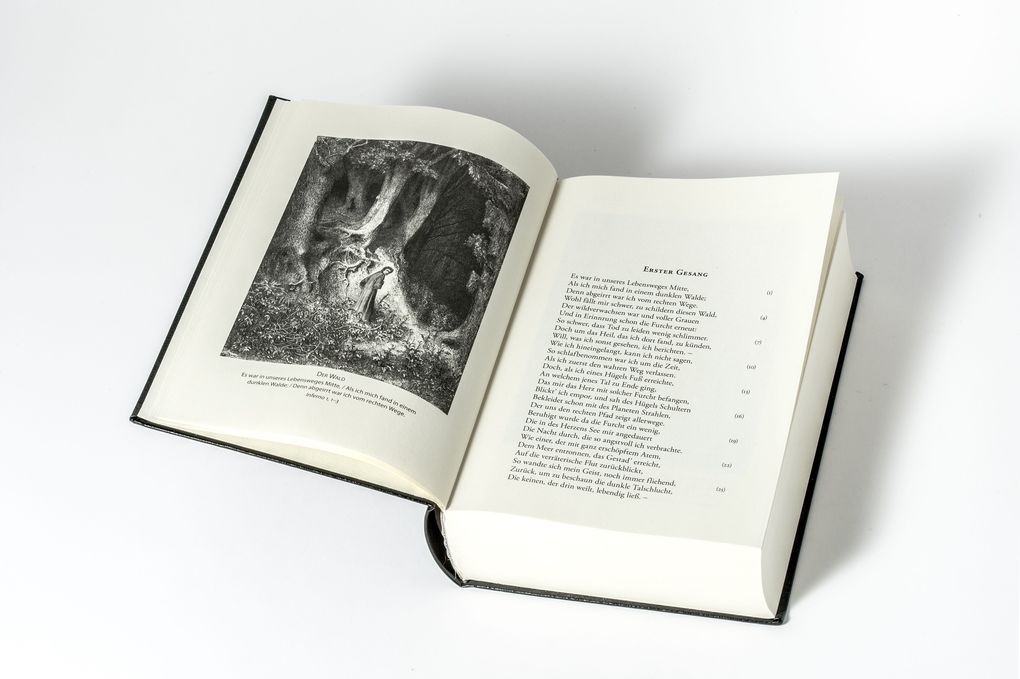 Weitere Ansicht: Die göttliche Komödie | Dante Alighieri