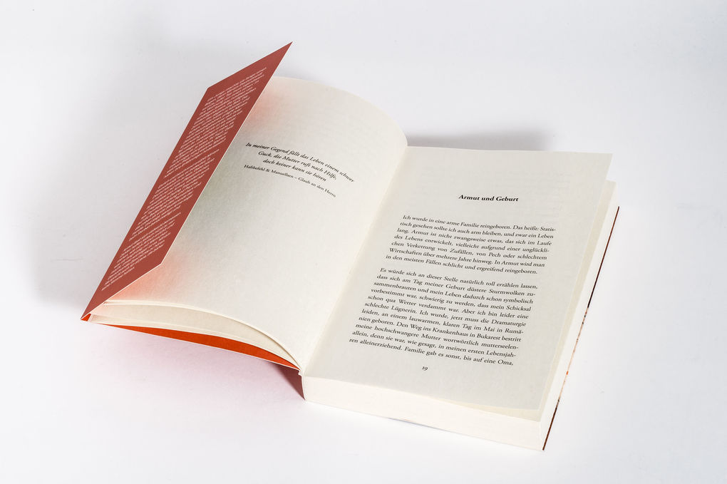 Weitere Ansicht: Das können wir uns nicht leisten | Miriam Davoudvandi