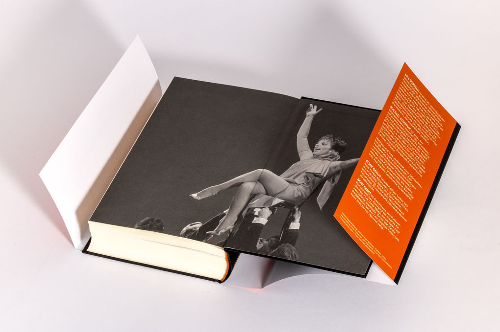 Weitere Ansicht: Liza - Kids, Wait Till You Hear This! | Liza Minnelli, Michael Feinstein