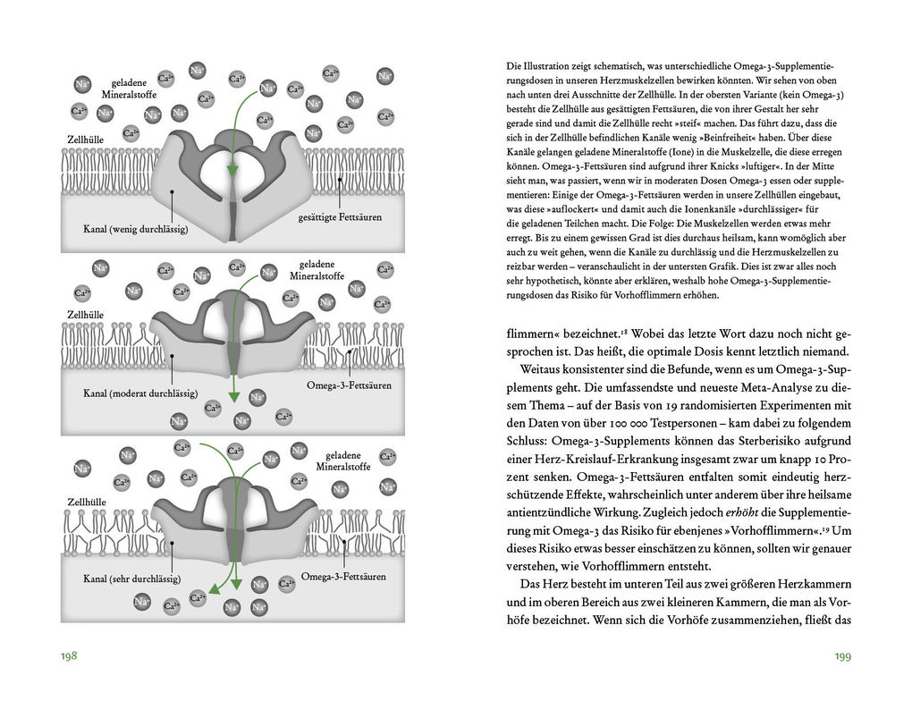 Weitere Ansicht: Der Vitamin- und Nährstoffkompass | Bas Kast