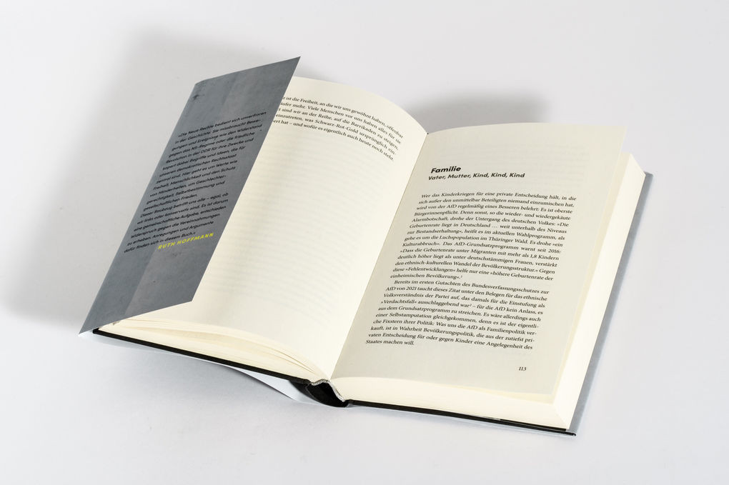 Weitere Ansicht: Raubzug von rechts | Ruth Hoffmann