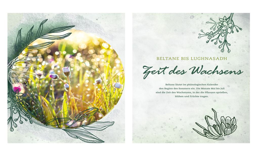 Weitere Ansicht: Magische Kräuter rund ums Jahr | Gabriele Meier