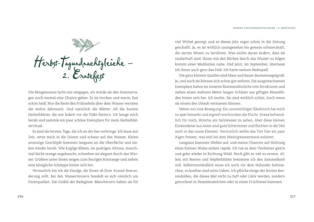 Weitere Ansicht: Magische Kräuter rund ums Jahr | Gabriele Meier