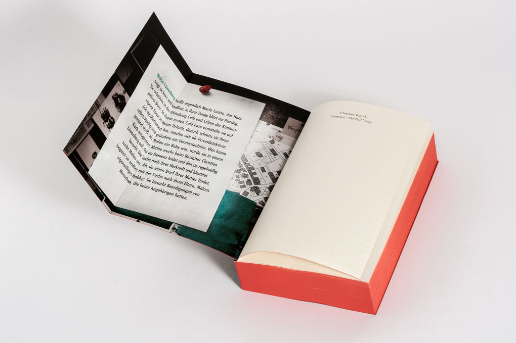 Weitere Ansicht: Vermisst - Der Fall Lucas | Christine Brand