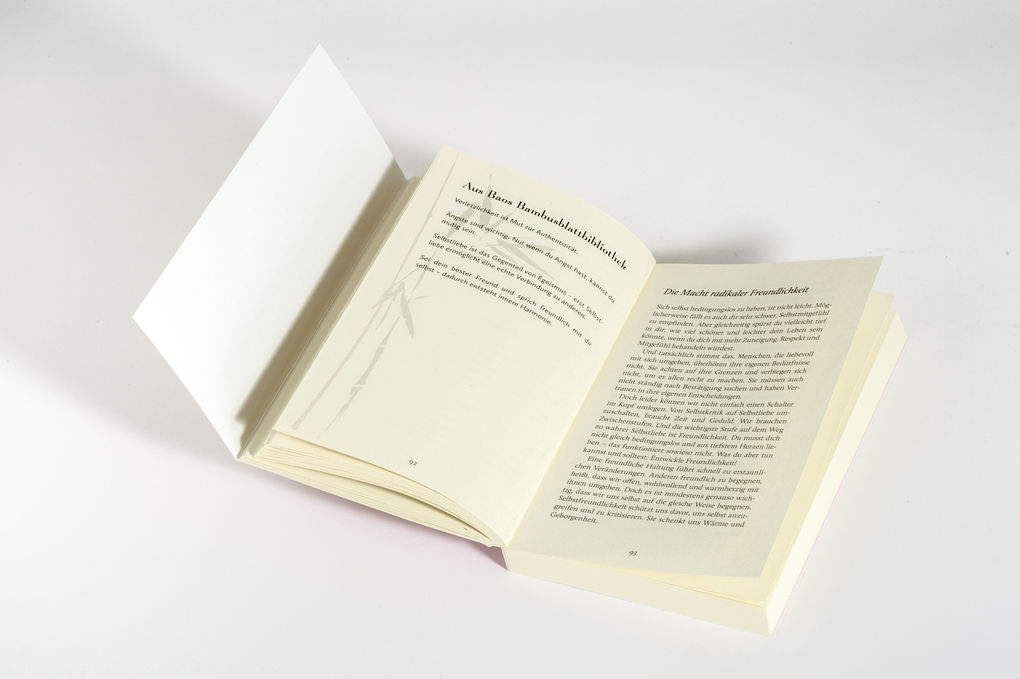 Weitere Ansicht: Der Panda und das Wunder der Selbstliebe | Aljoscha Long, Ronald Schweppe