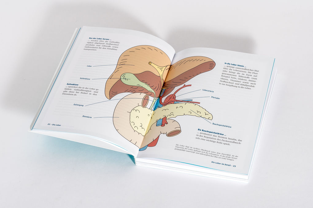 Weitere Ansicht: Fettleber, was nun? | Julia Seiderer-Nack