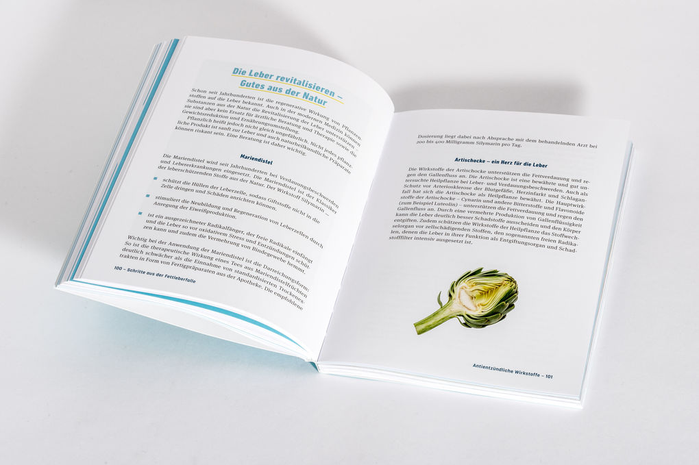 Weitere Ansicht: Fettleber, was nun? | Julia Seiderer-Nack