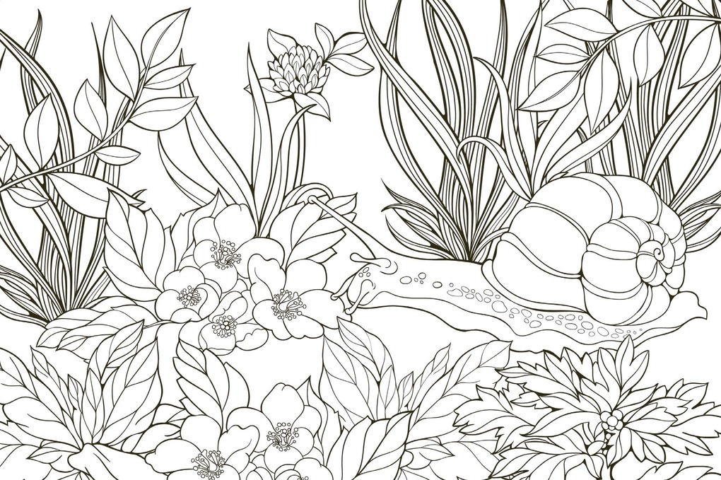 Weitere Ansicht: 50 cozy Karten zum Ausmalen - Natur