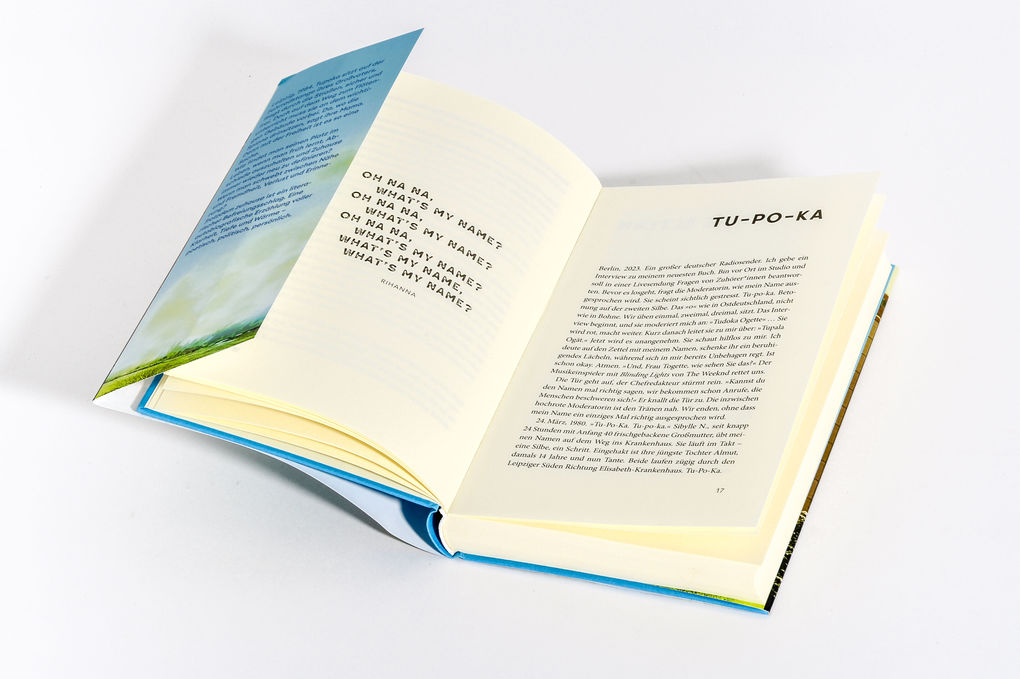 Weitere Ansicht: Trotzdem zuhause | Tupoka Ogette