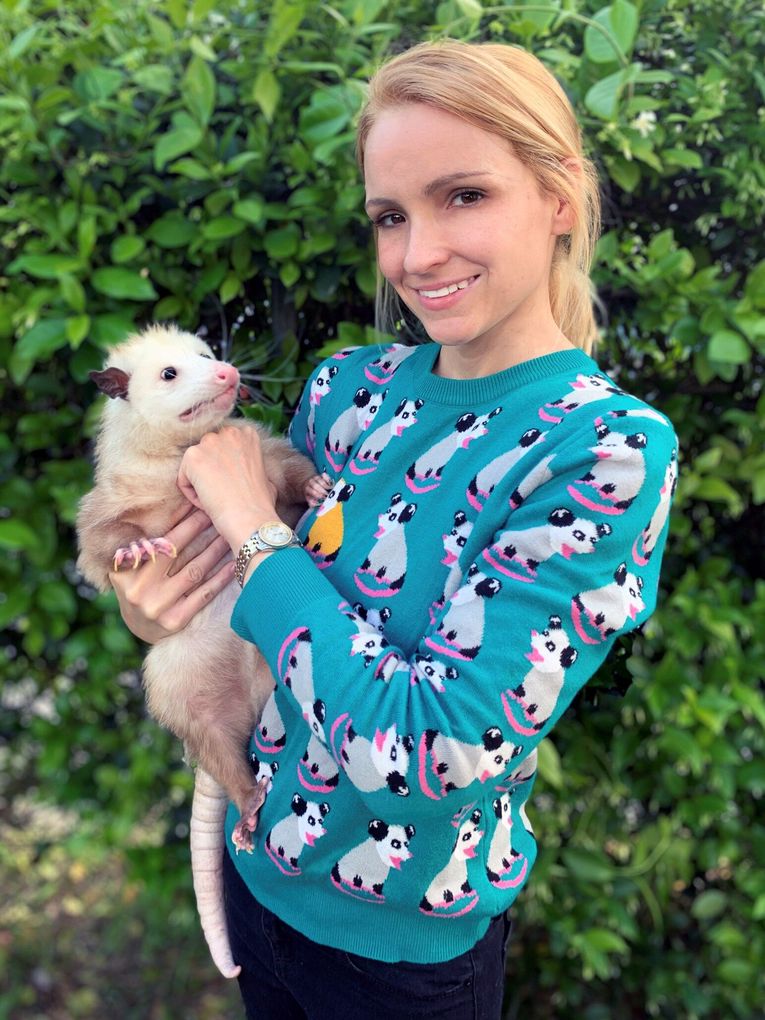 Weitere Ansicht: Wenn alles schiefgeht, stell dich tot | Ally Burguieres