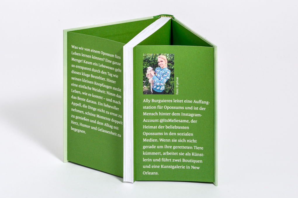 Weitere Ansicht: Wenn alles schiefgeht, stell dich tot | Ally Burguieres