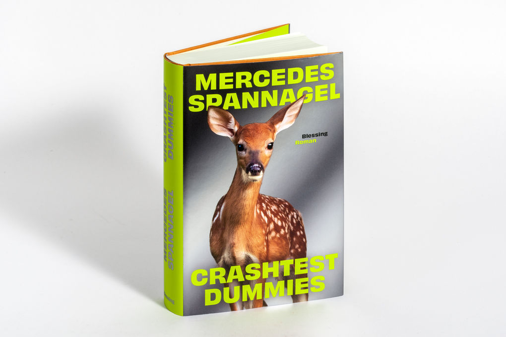 Weitere Ansicht: Crashtest Dummies | Mercedes Spannagel