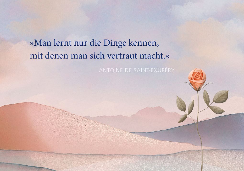 Weitere Ansicht: Postkarten-Set Antoine de Saint-Exupéry