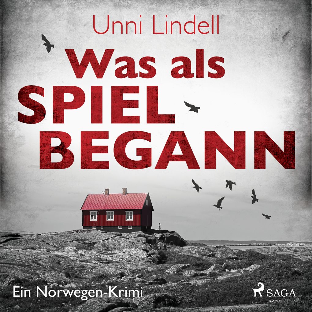 Produktbild: Was als Spiel begann - Ein Norwegen-Krimi | Unni Lindell