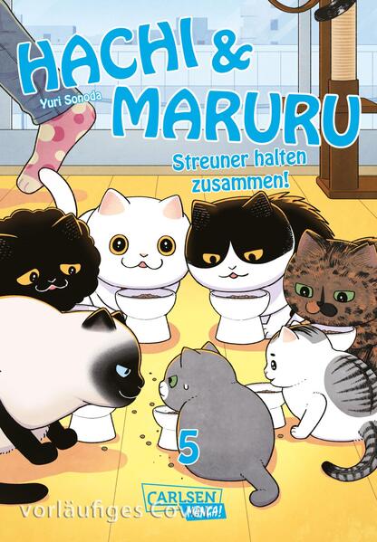 Produktbild: Hachi & Maruru - Streuner halten zusammen! 5 | Yuri Sonoda