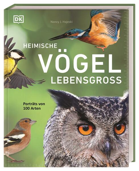 Produktbild: Heimische Vögel lebensgroß | Nancy J. Hajeski