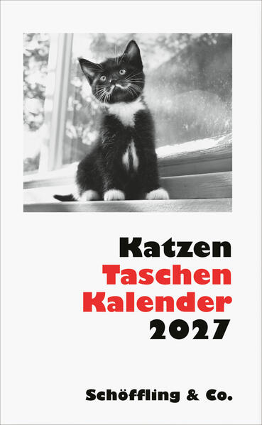 Produktbild: Katzen Taschenkalender 2027 | Julia Bachstein