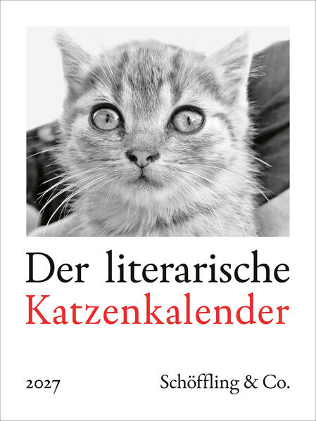 Produktbild: Der literarische Katzenkalender 2027 | Julia Bachstein