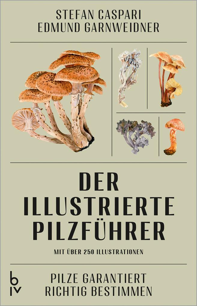 Produktbild: Der illustrierte Pilzführer | Stefan Caspari, Edmund Garnweidner