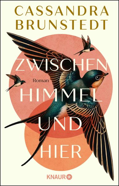 Produktbild: Zwischen Himmel und hier | Cassandra Brunstedt