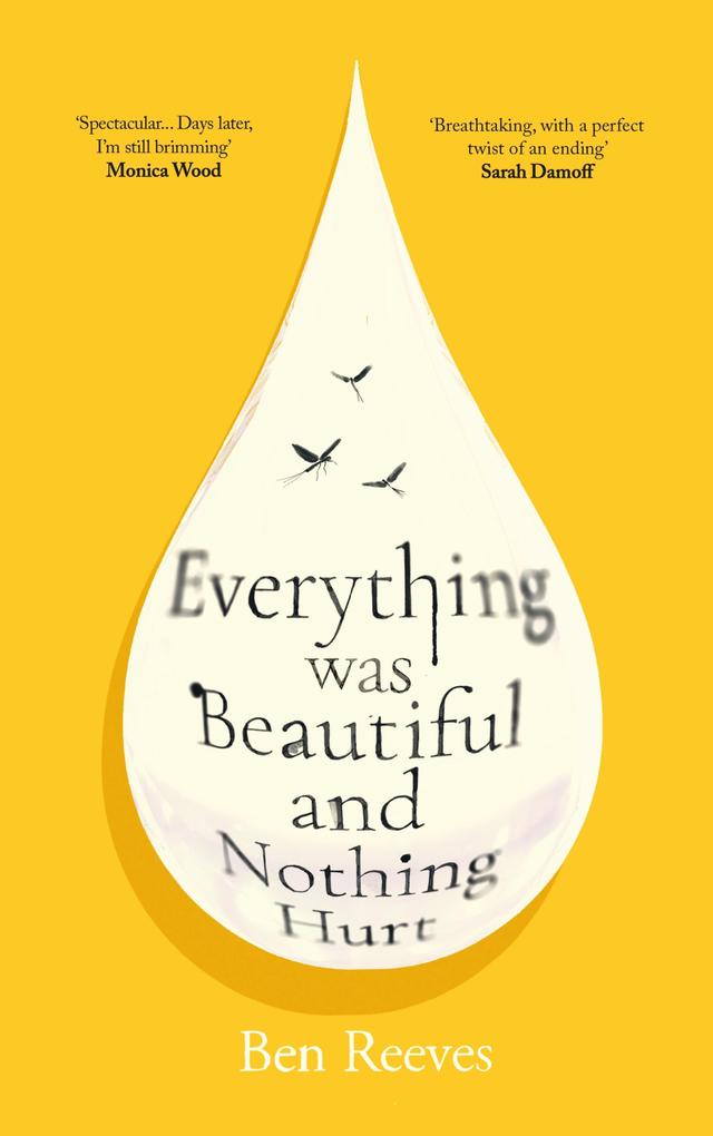 Produktbild: Everything was Beautiful and Nothing Hurt | Ben Reeves
