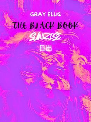 Produktbild: The Black Book | Gray Ellis