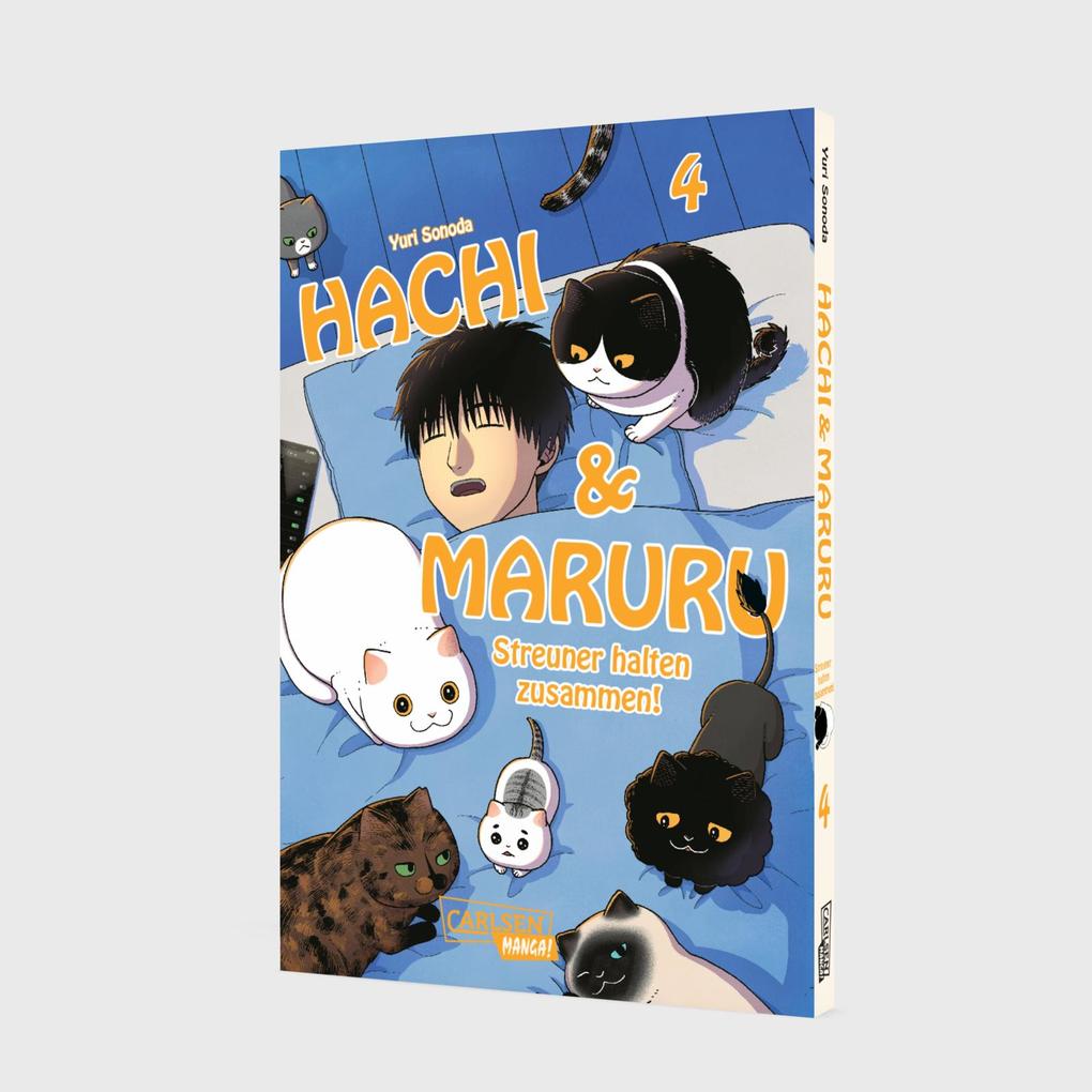 Weitere Ansicht: Hachi & Maruru - Streuner halten zusammen! 4 | Yuri Sonoda