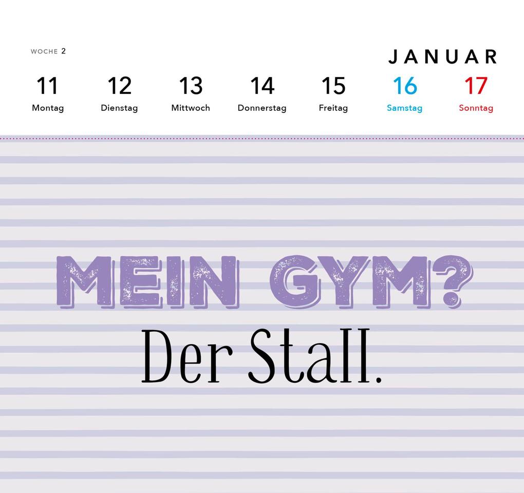 Weitere Ansicht: Pferdemädchen 2027 - Zum Reiten geboren, zum Ausmisten verdammt.