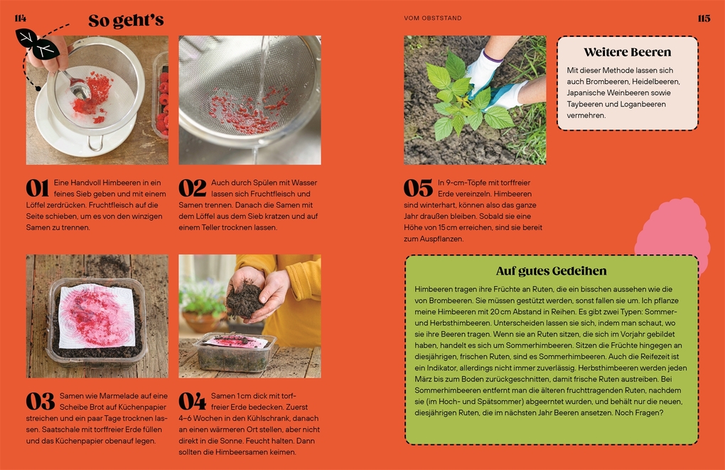 Weitere Ansicht: Regrow | Simon Akeroyd