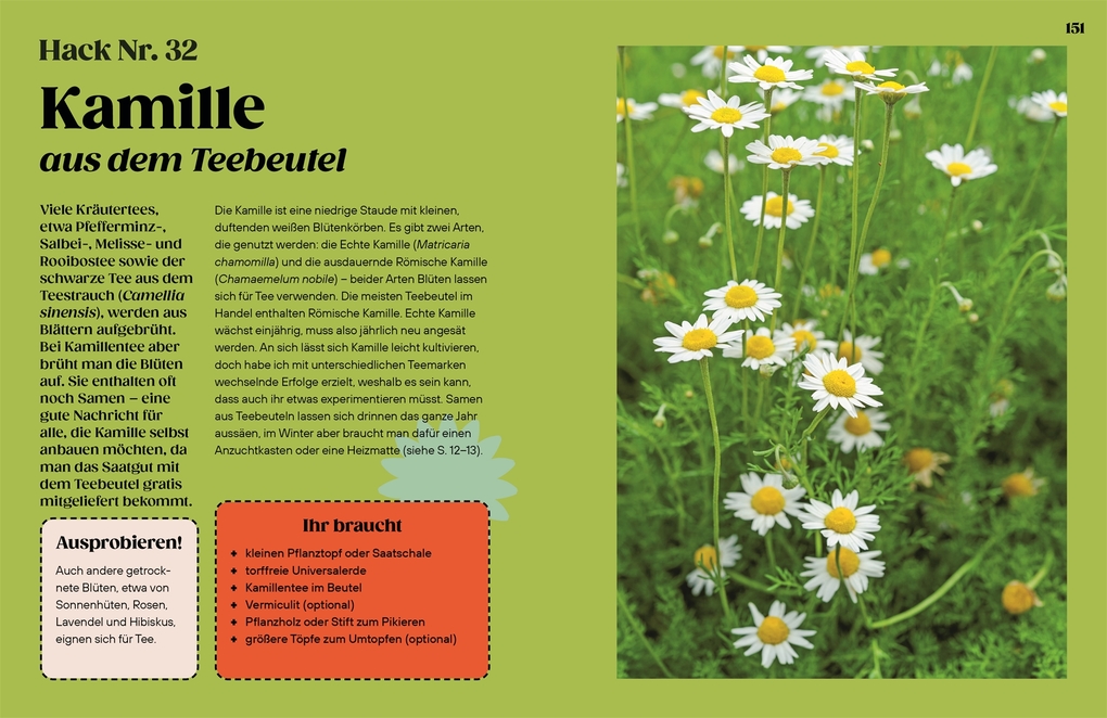 Weitere Ansicht: Regrow | Simon Akeroyd