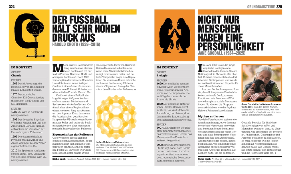 Weitere Ansicht: Big Ideas. Das Wissenschafts-Buch | John Farndon, Dan Green, Derek Harvey, Penny Johnson, Douglas Palmer