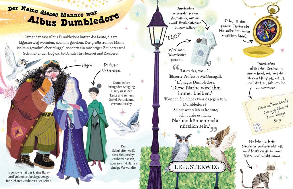 Weitere Ansicht: Potter Guides: Professor Dumbledore | J.K. Rowling