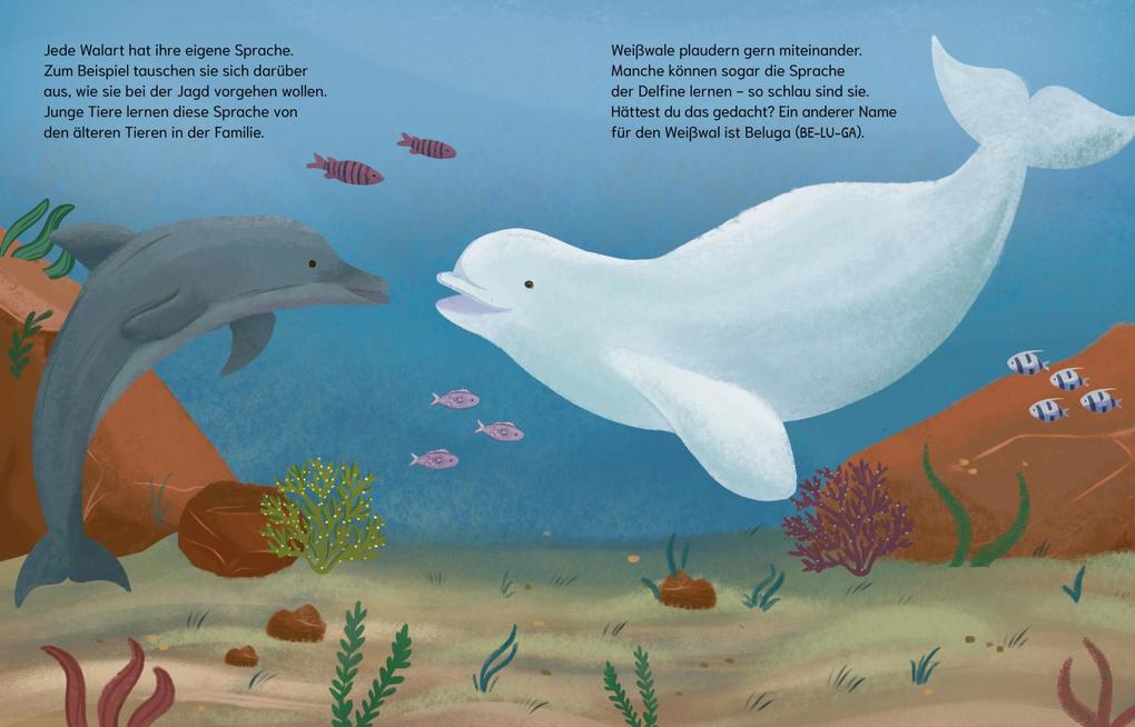 Weitere Ansicht: Sind Wale klüger als Menschen? (Gute Frage!) | Eliza Jeffery