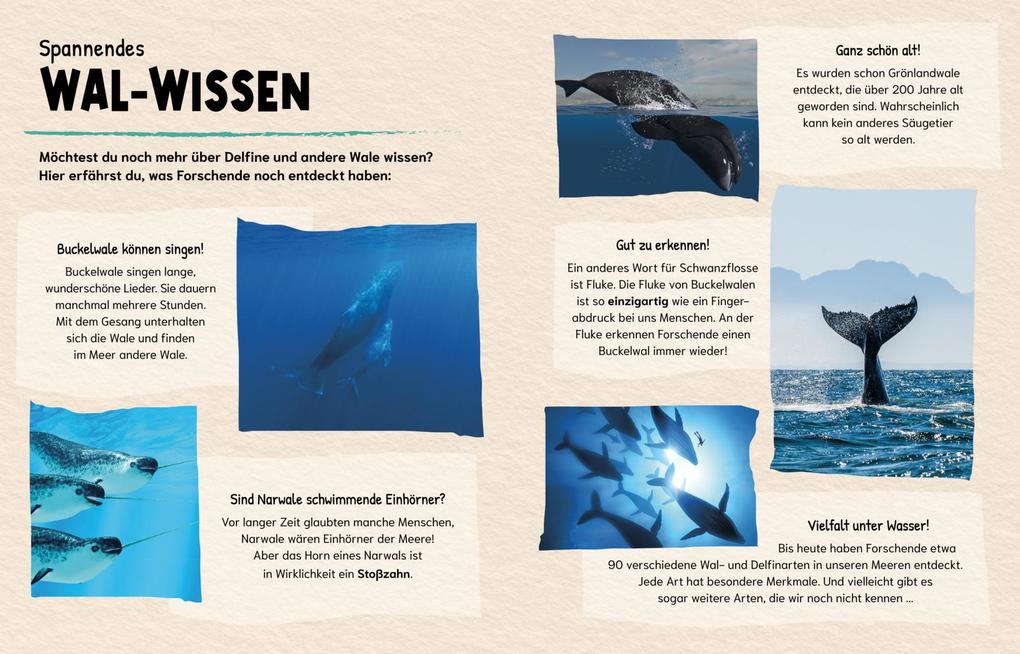 Weitere Ansicht: Sind Wale klüger als Menschen? (Gute Frage!) | Eliza Jeffery