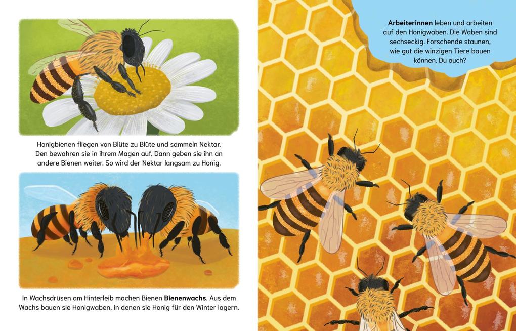 Weitere Ansicht: Sind Bienen kleine Superhelden? (Gute Frage!) | Eliza Jeffrey