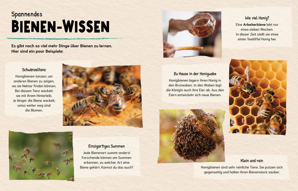 Weitere Ansicht: Sind Bienen kleine Superhelden? (Gute Frage!) | Eliza Jeffrey