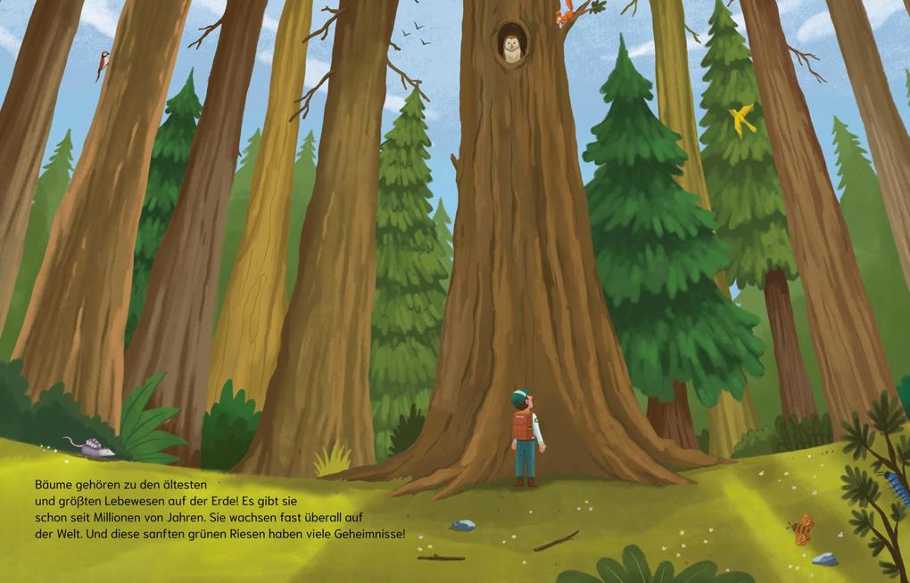 Weitere Ansicht: Können Bäume miteinander sprechen? (Gute Frage!) | Olivia Watson