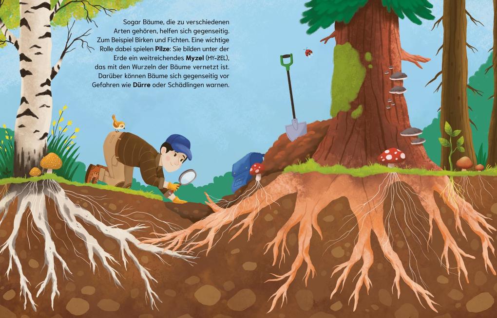 Weitere Ansicht: Können Bäume miteinander sprechen? (Gute Frage!) | Olivia Watson