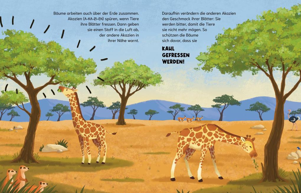 Weitere Ansicht: Können Bäume miteinander sprechen? (Gute Frage!) | Olivia Watson