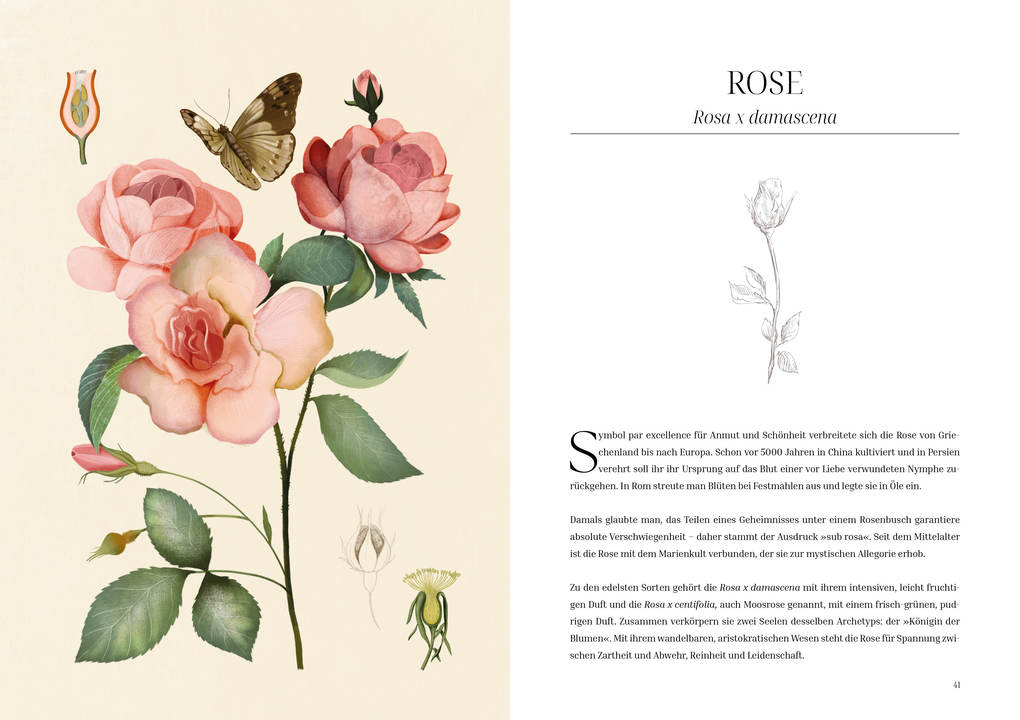 Weitere Ansicht: Im Reich der Düfte | Caterina Roncati