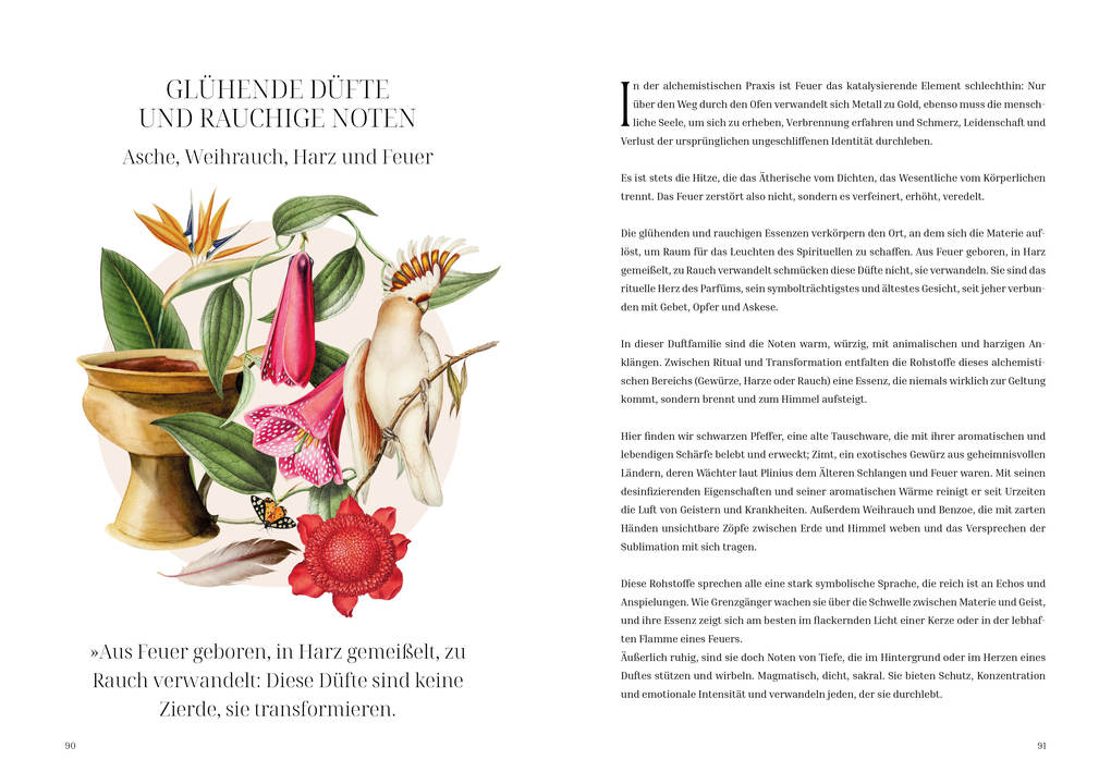 Weitere Ansicht: Im Reich der Düfte | Caterina Roncati