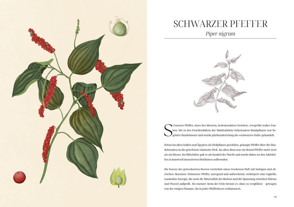 Weitere Ansicht: Im Reich der Düfte | Caterina Roncati