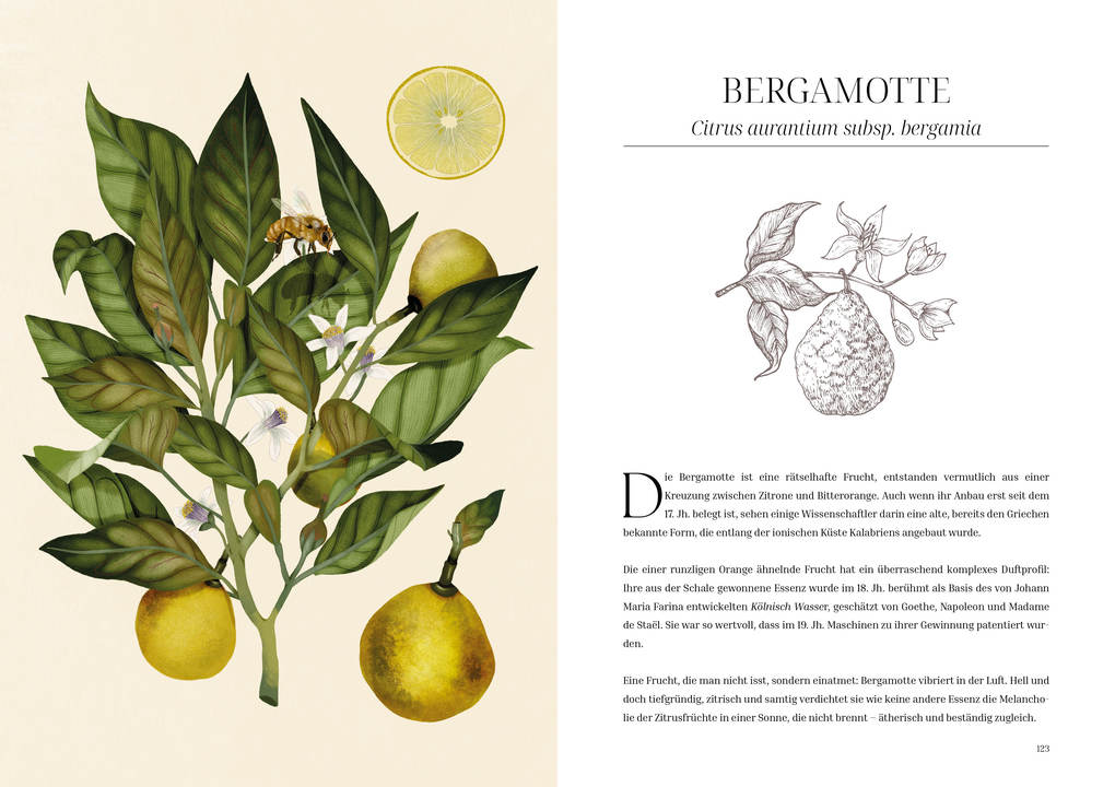 Weitere Ansicht: Im Reich der Düfte | Caterina Roncati