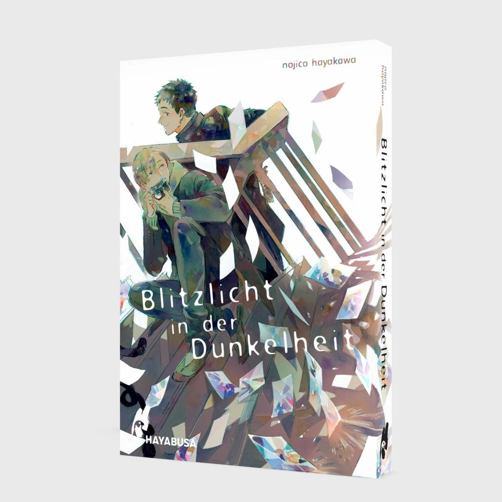 Weitere Ansicht: Blitzlicht in der Dunkelheit | Nojico Hayakawa