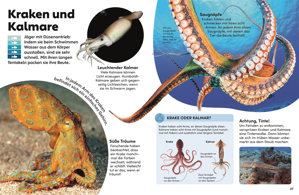 Weitere Ansicht: memo Wissen Kids. Das Meer