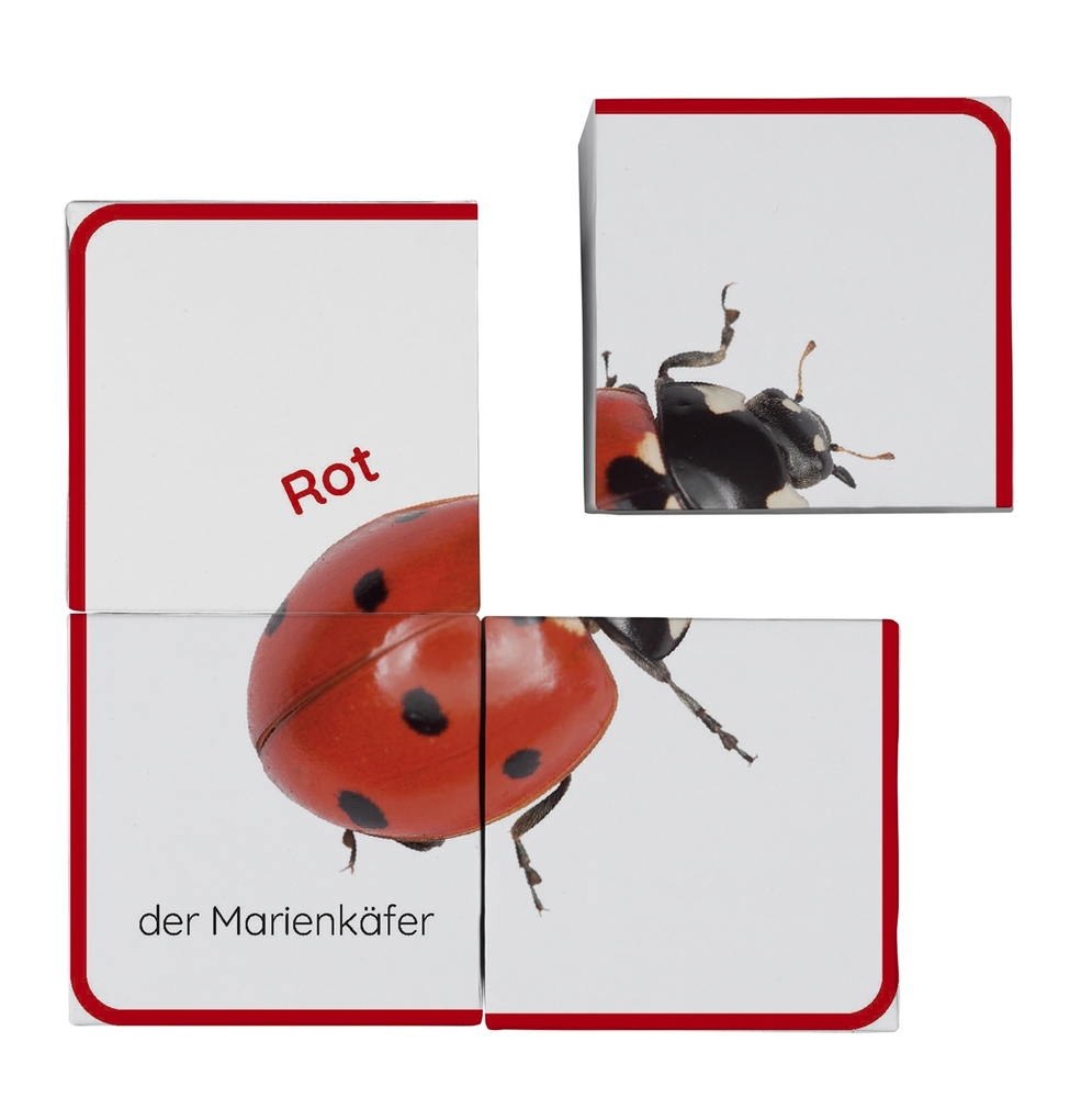 Weitere Ansicht: Erstes Lernen Würfelpuzzle. Farben | DK Erstes Lernen