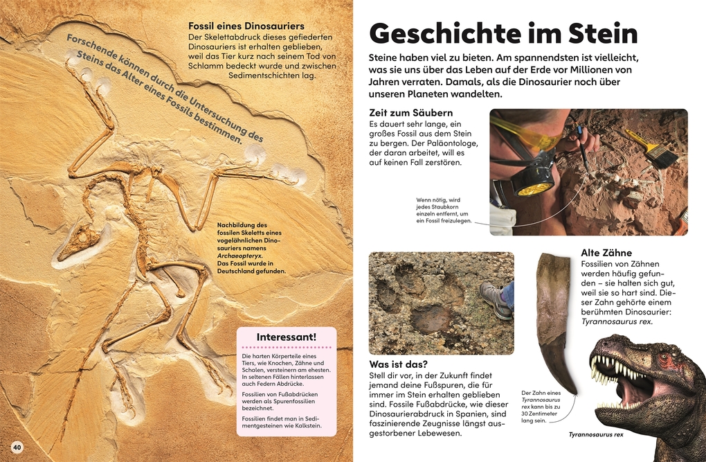 Weitere Ansicht: memo Wissen Kids. Steine und Mineralien