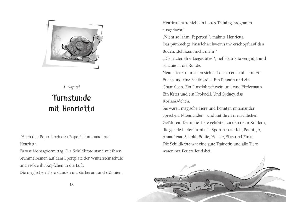 Weitere Ansicht: Die Schule der magischen Tiere 5: Top oder Flop! | Margit Auer