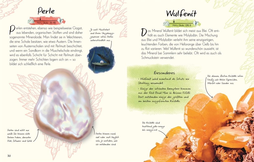 Weitere Ansicht: Wundervolle Welt - Kleine Schätze. Steine und Mineralien | Devin Dennie